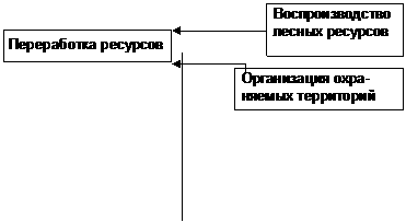 Подпись: Воспроизводство лесных ресурсов,Подпись: Переработка ресурсов,Подпись: Организация охра- няемых территорий 